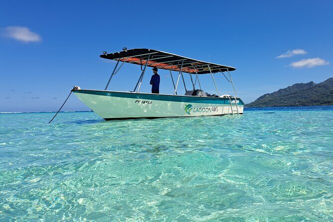 Private Marine Excursion and snorkeling in the lagoon of Moorea - Private Marine Excursion and Snorkeling in the Lagoon of Moorea