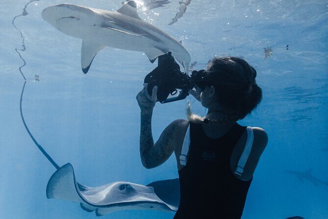 Private Marine Wildlife Adventure with Underwater Photography - Who Should Consider This Tour?