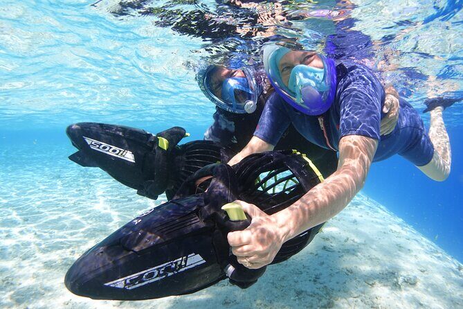 Private Marine Wildlife Adventure with Underwater Photography - Practical Tips for Your Booking