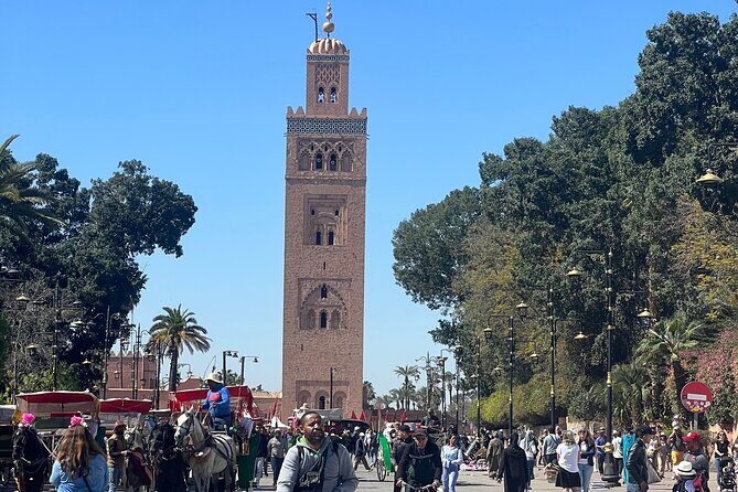 Private Marrakech Cultural and Artisanal Half-Day Tour - The Experience: What Travelers Can Expect