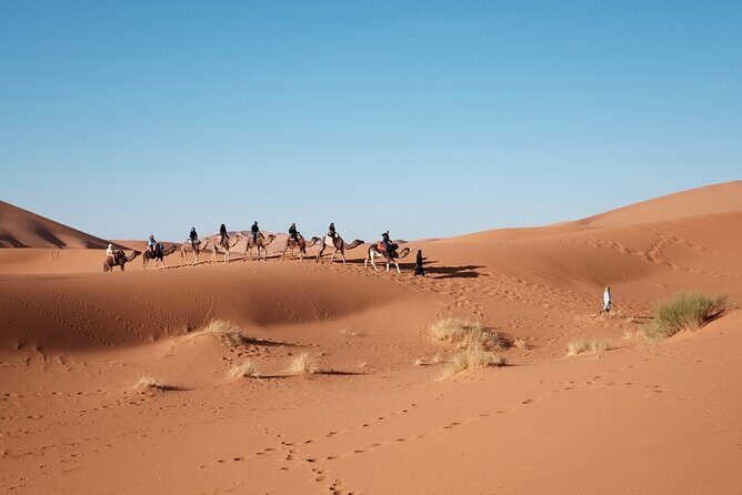 Private Marrakech Desert tour to Fes - Who is This Tour Best For?