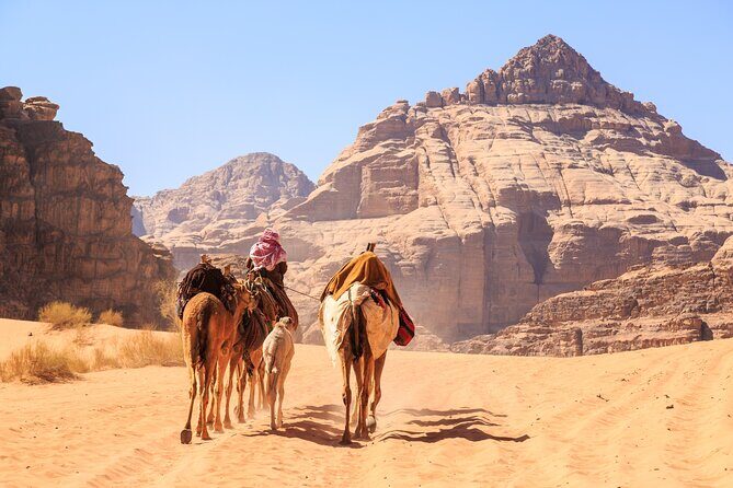 Private Martian Wadi Rum Overnight Bedouin Experience from Amman - Frequently Asked Questions