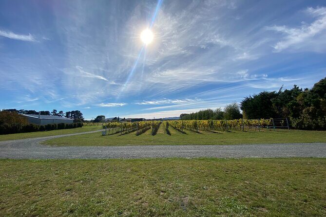 Private Martinborough Wine Tour for Wine Enthusiasts - The Experience from a Traveler’s Perspective