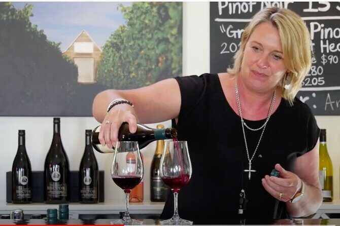 Private Martinborough Wine Tour in an Electric Vehicle - Tesla Model Y - Who Will Love This Tour?