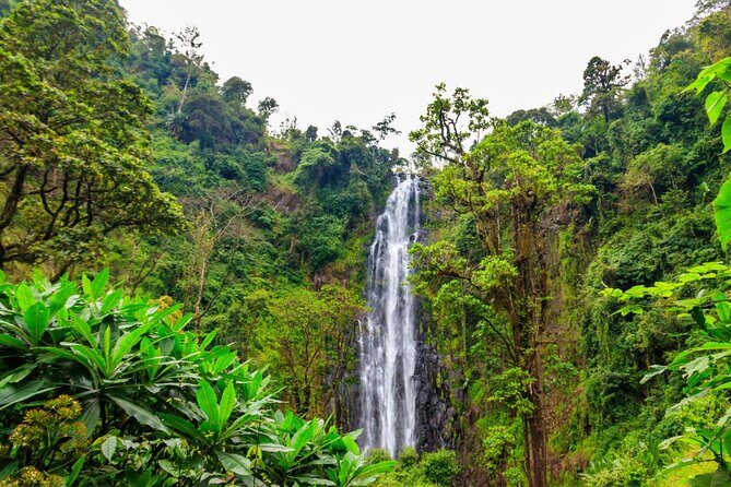 Private Materuni and Chemka Hotspring Tour - Detailed Exploration of the Tour