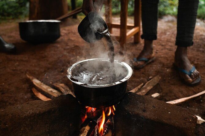 Private Materuni and Chemka Hotspring Tour - FAQ