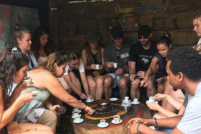 Private Materuni Waterfall & Coffee Tour. - Why This Tour Might Be Perfect for You