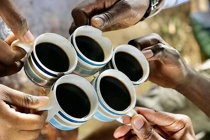 Private Materuni Waterfall & Coffee Tour. - FAQ Section
