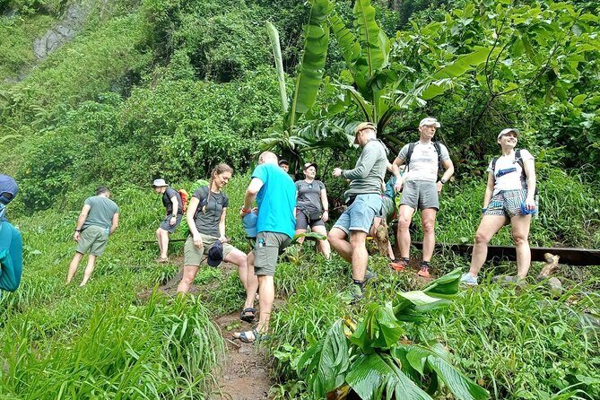 Private Materuni Waterfalls, Coffee Tour and Kikuletwa Hot Spring - Key Points