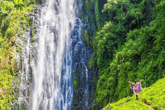 Private Materuni Waterfalls, Coffee Tour and Kikuletwa Hot Spring - A Full Day of Natural Beauty and Cultural Flavor