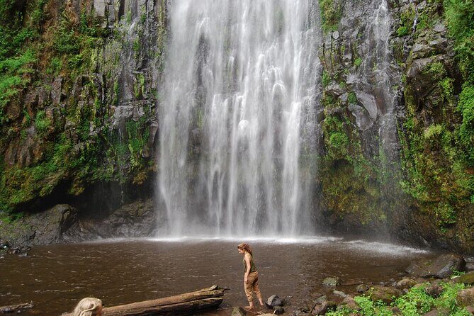 Private Materuni Waterfalls, Coffee Tour and Kikuletwa Hot Spring - Frequently Asked Questions