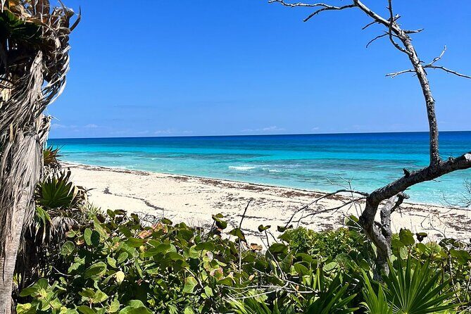 Private Mayan Ruins Tour with Cenote/caves and Mexican Picnic - Final Thoughts