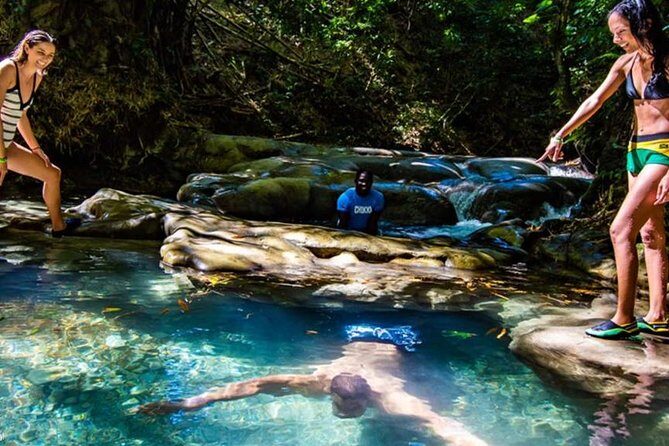 Private Mayfield Falls Waterfalls Tour [ Transportation ] - Introduction: A Refreshing Jamaican Escape