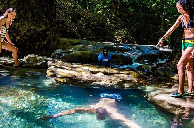Private Mayfield Falls Waterfalls Tour [ Transportation ] - Transportation and Overall Experience