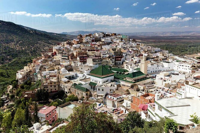 Private Meknes Volubilis -Mouly Idriss day trip from Fez - What Travelers Say