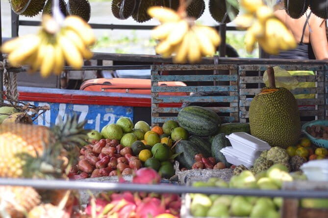 Private Mekong Delta tour to Cai Be Tan Phong island full day - Key Points