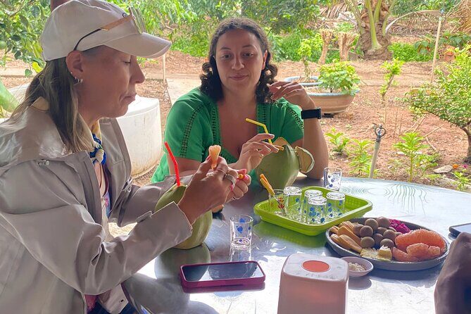 Private Mekong Orchard Visit Non Tourist - Final Thoughts: Who Should Consider This Tour?