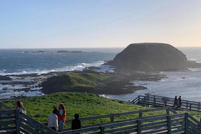 Private Melbourne Tour: Phillip Island and Chocolate Factory - The Itinerary Breakdown: What to Expect at Each Stop