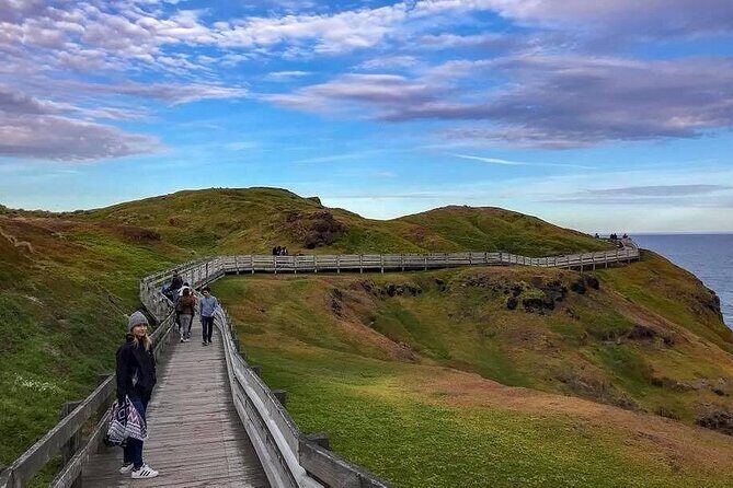 Private Melbourne Tour: Phillip Island and Chocolate Factory - What This Tour Means for You