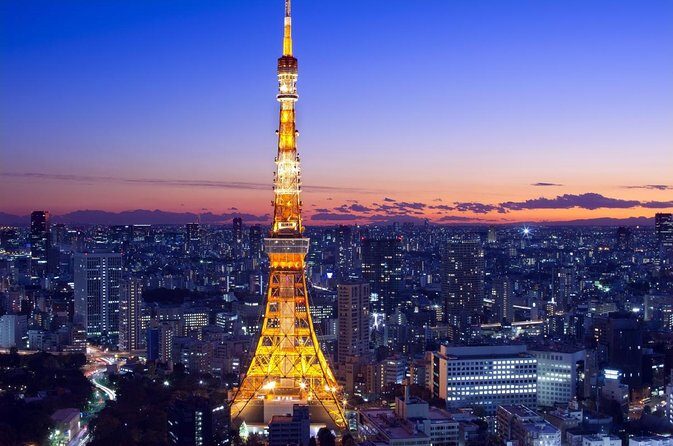 Private Memorable Tokyo Tour with English Speaking Driver - Key Points