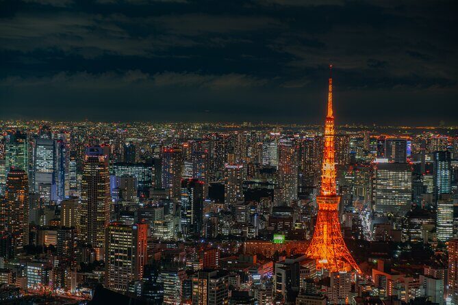 Private Memorable Tokyo Tour with English Speaking Driver - The Sum Up: Who Will Love This Tour?