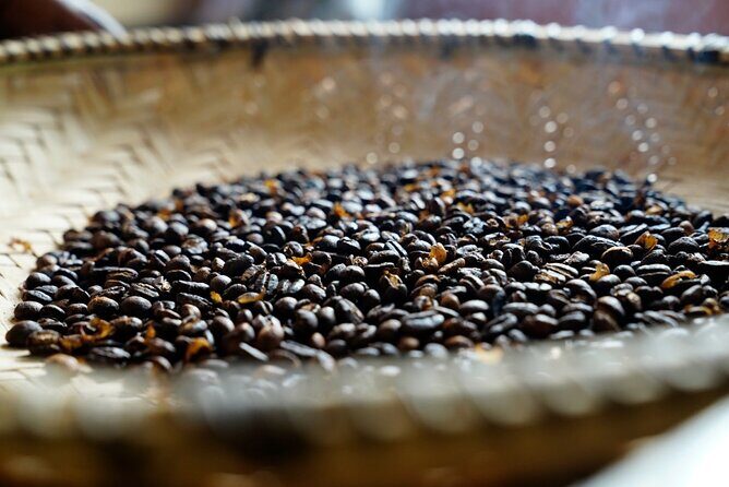 Private Meru Coffee Tour in Nkoaranga - Private Meru Coffee Tour in Nkoaranga: A Taste of Tanzanian Coffee and Culture
