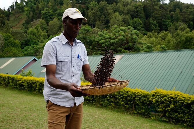Private Meru Coffee Tour in Nkoaranga - Who Will Love This Tour?