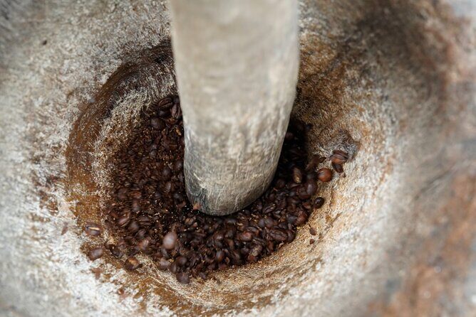 Private Meru Coffee Tour in Nkoaranga - FAQ about the Meru Coffee Tour