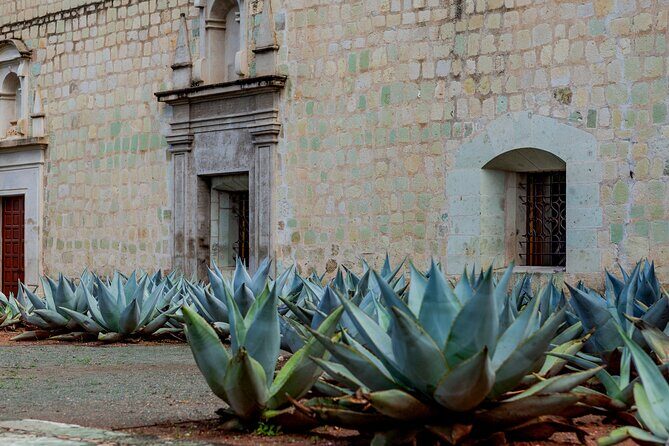 Private Mezcal Tasting Journey by Car in Oaxaca - FAQ