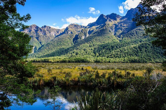 Private Milford Sound Scenic Tour Fjords Waterfalls and Views - The Authenticity and Value of This Tour