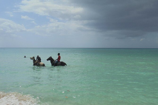 Private Montego Bay Airport Transfer to Negril - Final Thoughts