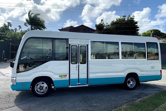 Private Montego Bay Airport Transfer to Negril Hotels - Is This Transfer Right for You?