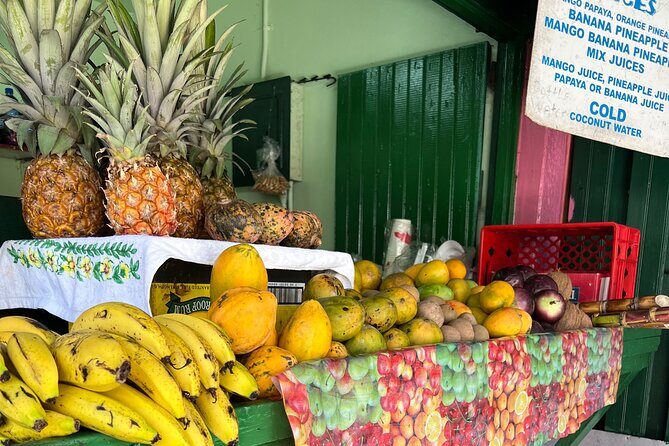 Private Montego Bay Customized Tour with Pickup and Guide - Introduction