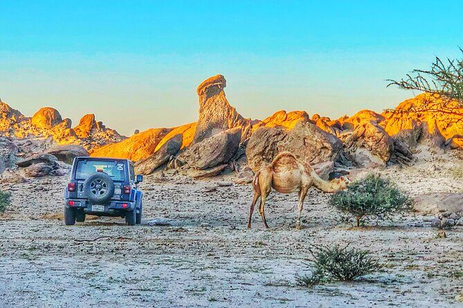 Private Moon Valley Hike Experience in Jeddah - Exploring the Private Moon Valley Hike Experience in Jeddah