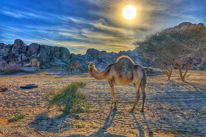 Private Moon Valley Hike Experience in Jeddah - Key Points