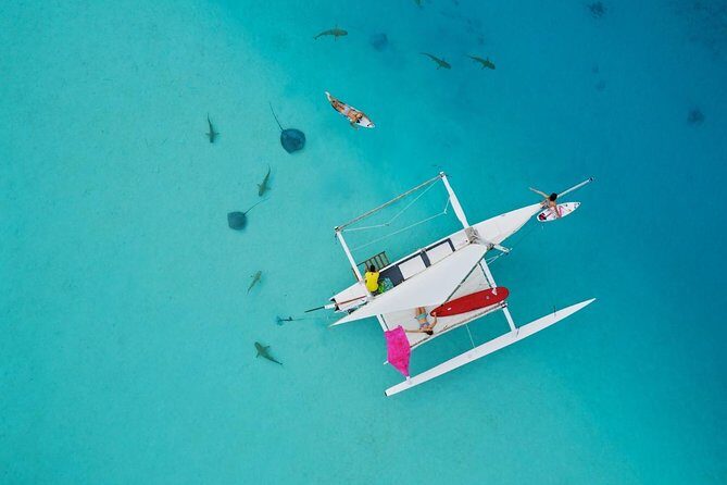 Private Moorea Discovery Half-day Sailing - Key Points