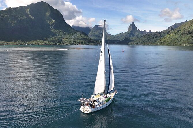 Private Moorea Discovery Half-day Sailing - Final Thoughts: Is It Worth It?
