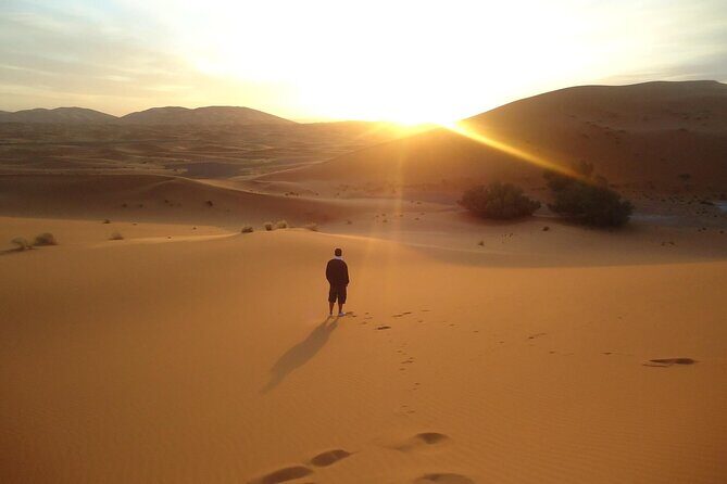 Private Morning Desert Adventure: Sandboarding & Camel Ride - An In-Depth Look at the Experience