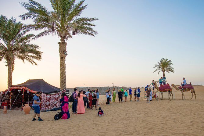 Private Morning Desert Dune Bashing, Sandboardin, Camel Riding - Final Thoughts: Is It Worth It?