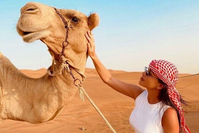 Private Morning Desert Safari Dune Bashing and Short Camel Ride - Who Will Love This Tour?