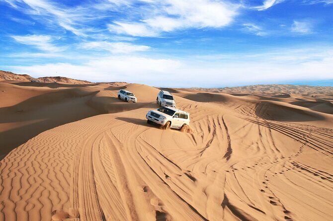 Private Morning Desert Safari From Dubai - An In-Depth Look at the Desert Safari Experience