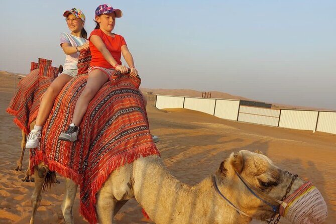 Private Morning Desert Safari with Camel Ride Falcon Photos - Who Should Consider This Tour?