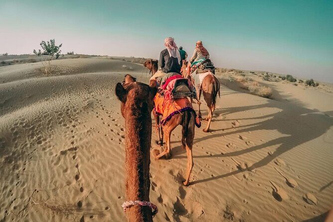 Private Morning Desert Safari with Camel Ride & Sandboarding - Practical Tips