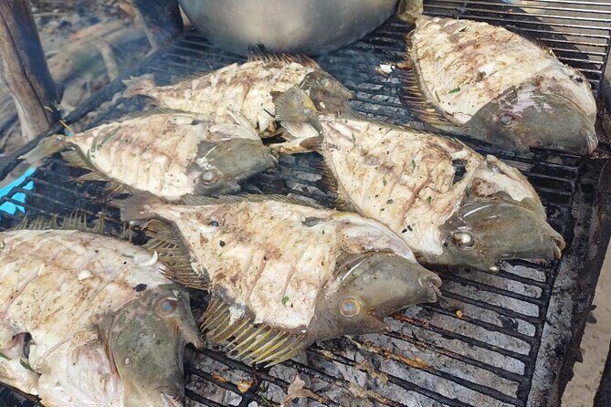 Private Morning Dolphin Watching Snorkeling and Seafood BBQ - Who Should Consider This Tour?