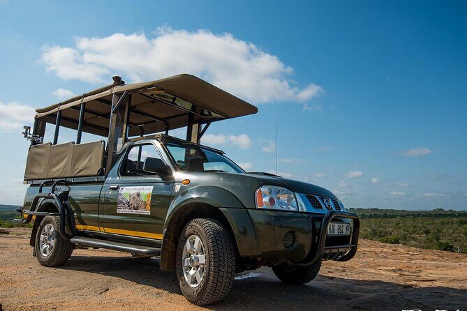 Private Morning Game Drive from Hazyview l Kruger National Park - Introduction