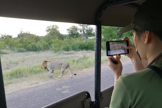 Private Morning Game Drive from Hazyview l Kruger National Park - The Itinerary: What to Expect