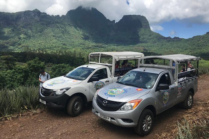 Private Morning Moorea 4WD Tour with Champagne - The Overall Value