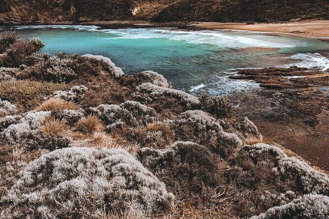 Private Mornington Peninsula Hike and Hot Springs Tour - Introduction