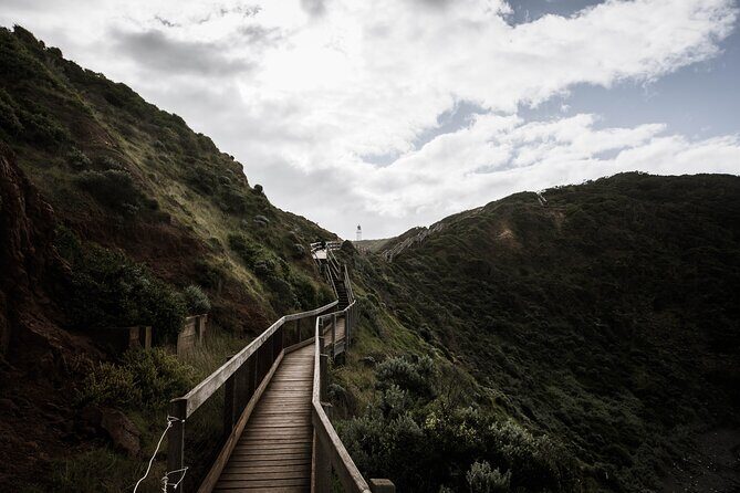 Private Mornington Peninsula Hike and Hot Springs Tour - Who Would Love This Tour?