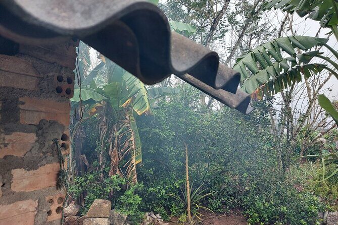 Private Motorbike Tour Discover the Local Life in Vietnam - Who Should Consider This Tour?